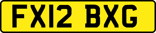 FX12BXG