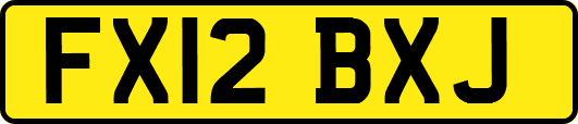 FX12BXJ