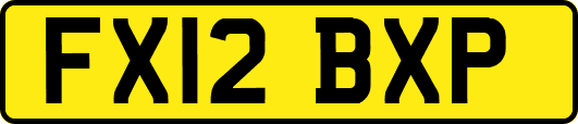 FX12BXP