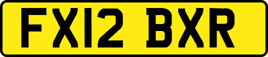 FX12BXR