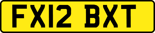 FX12BXT
