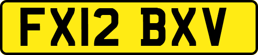 FX12BXV