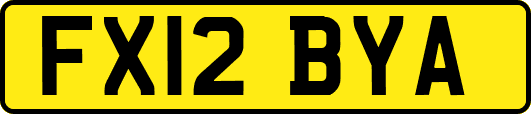 FX12BYA