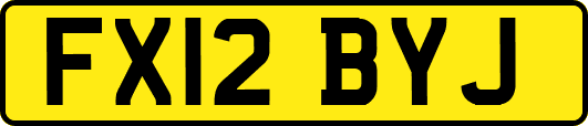 FX12BYJ