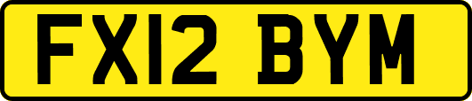 FX12BYM