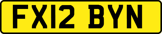 FX12BYN