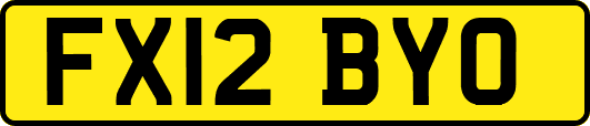 FX12BYO