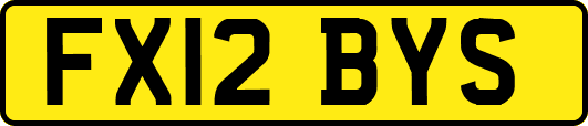 FX12BYS