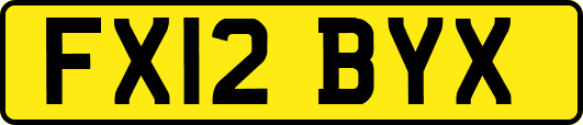 FX12BYX