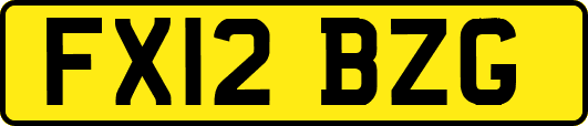 FX12BZG