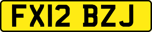 FX12BZJ