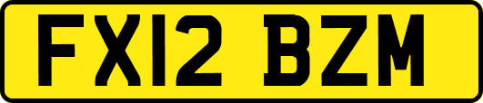 FX12BZM