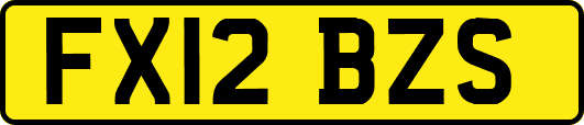 FX12BZS
