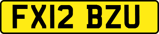 FX12BZU
