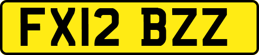 FX12BZZ