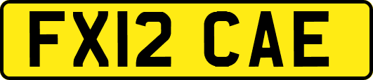 FX12CAE