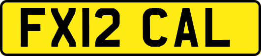 FX12CAL