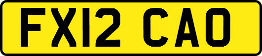 FX12CAO