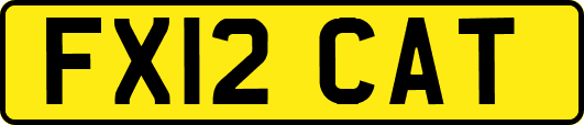 FX12CAT
