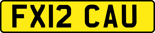 FX12CAU