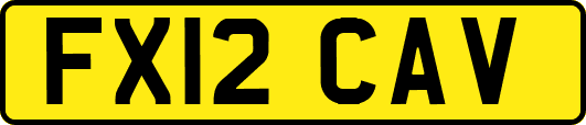FX12CAV