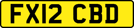 FX12CBD