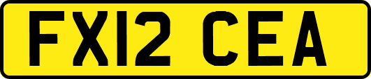 FX12CEA