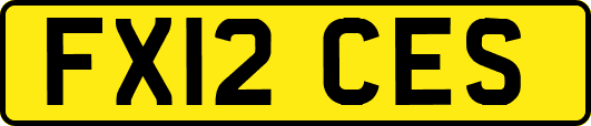 FX12CES