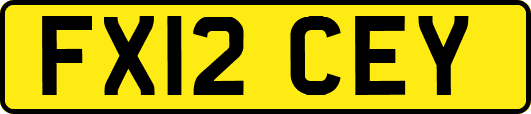 FX12CEY