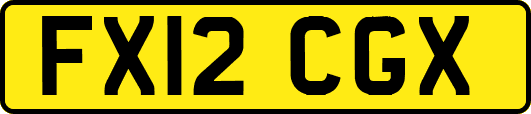 FX12CGX