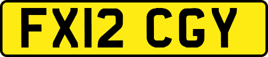 FX12CGY