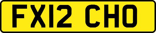 FX12CHO