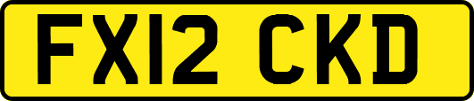 FX12CKD