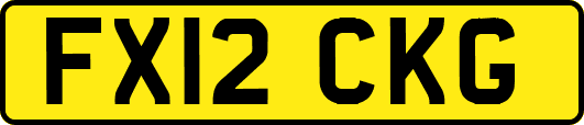 FX12CKG