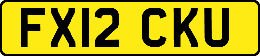 FX12CKU