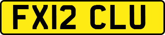 FX12CLU
