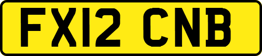 FX12CNB
