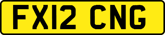 FX12CNG