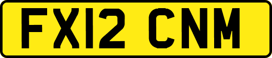 FX12CNM