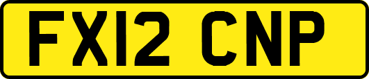 FX12CNP