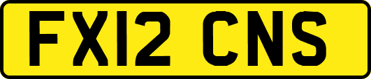 FX12CNS