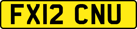 FX12CNU