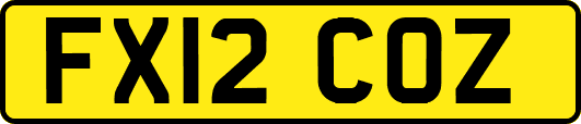 FX12COZ