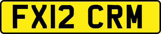 FX12CRM