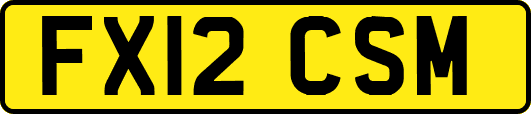 FX12CSM