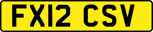 FX12CSV