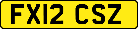 FX12CSZ