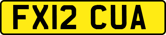 FX12CUA