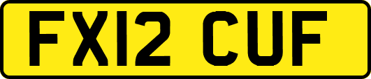 FX12CUF