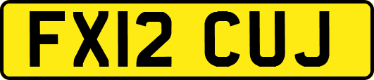 FX12CUJ